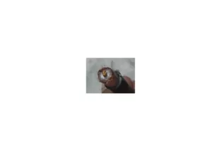 RG213 Coaxial Cable 50 Ohm Low-Attenuation - Image 3
